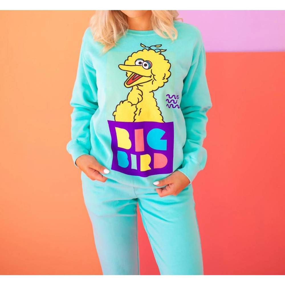 NEW PEOPLE OF LEISURE sesame street big bird sweatshirt in turquoise